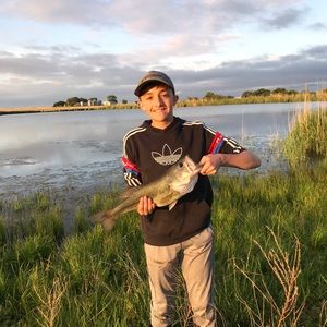 Meet your Posher, Matthew